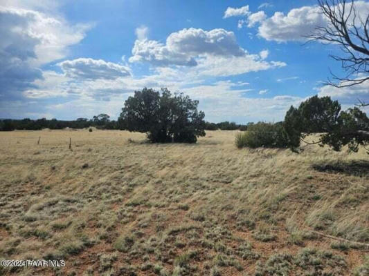 58982 N CALLE VACA, SELIGMAN, AZ 86337, photo 2 of 16