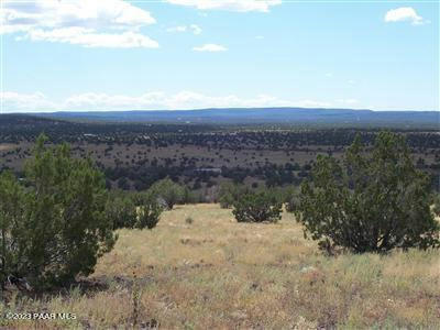 996 W COUCHMAN TRL, ASH FORK, AZ 86320, photo 3 of 7