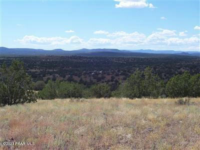 996 W COUCHMAN TRL, ASH FORK, AZ 86320, photo 2 of 7