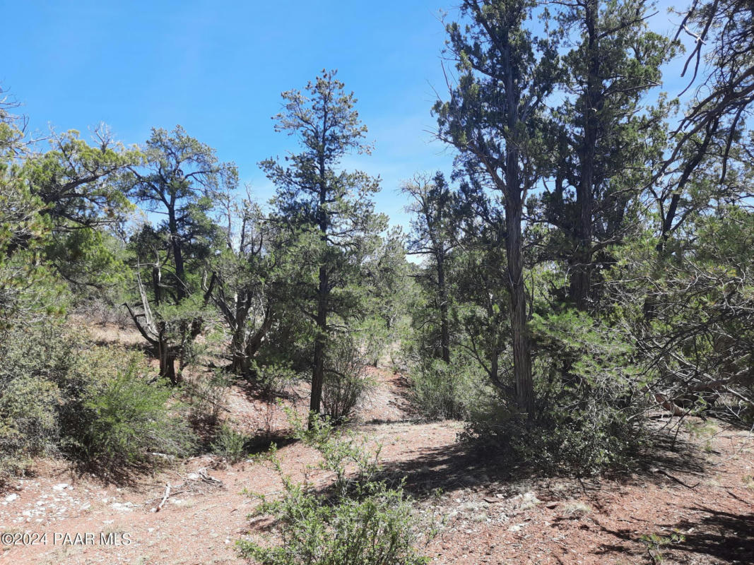 LOT 130 FOREST ACRES, SELIGMAN, AZ 86337, photo 1 of 8