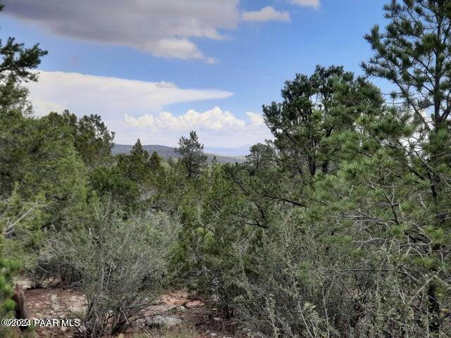 LOT 213 FOREST ACRES, SELIGMAN, AZ 86337, photo 1 of 6