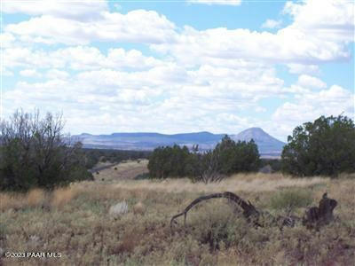 996 W COUCHMAN TRL, ASH FORK, AZ 86320, photo 5 of 7