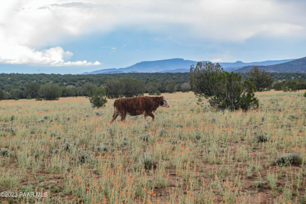 10 ACRES W DEEP WATER ROAD, PAULDEN, AZ 86334, photo 4 of 14