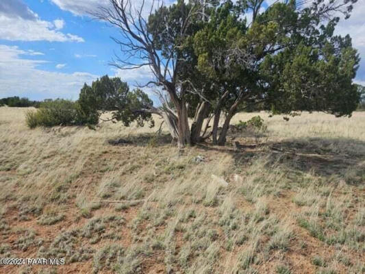 58982 N CALLE VACA, SELIGMAN, AZ 86337, photo 5 of 16