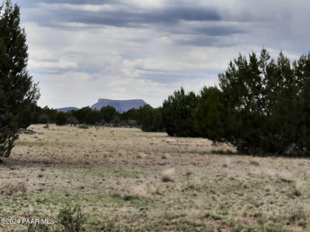 LOT 609 YOUNGER TRAIL, SELIGMAN, AZ 86337, photo 1 of 23
