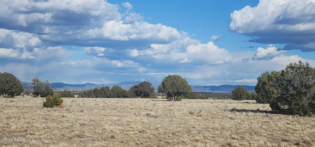 26C NIGHTHAWK RD, ASH FORK, AZ 86320, photo 2 of 12