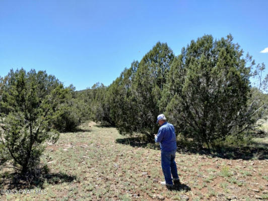 0 JUNIPER RANCH, ASH FORK, AZ 86320, photo 2 of 4