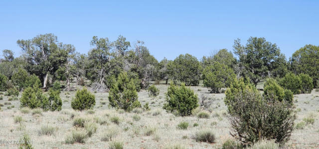 690 WESTWOOD RANCH, ASH FORK, AZ 86320, photo 3 of 12