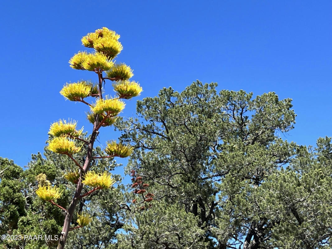 331 OFF OF BIG VIEW, ASH FORK, AZ 86320, photo 1 of 17