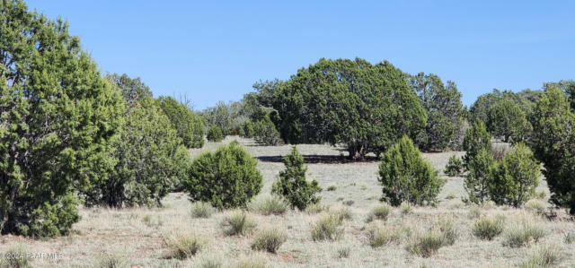 690 WESTWOOD RANCH, ASH FORK, AZ 86320, photo 4 of 12