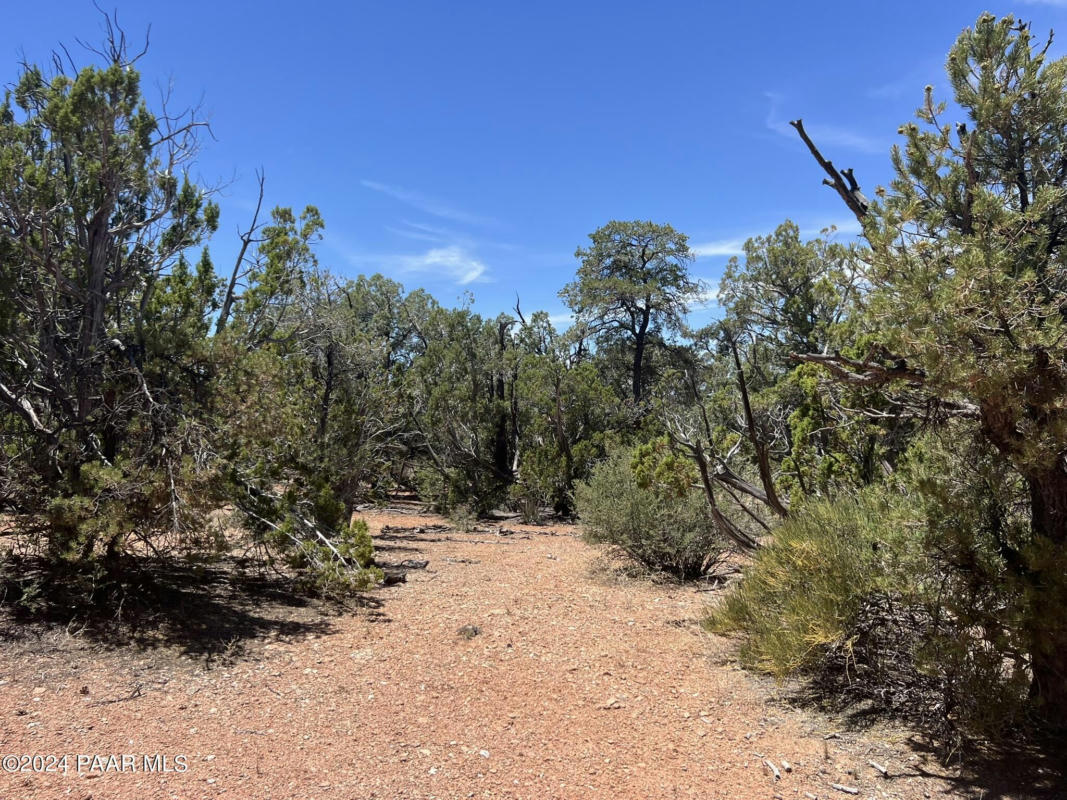 1022 OFF OF DUFFIS BLUFF ROAD, SELIGMAN, AZ 86337, photo 1 of 9