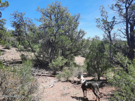 LOT 130 FOREST ACRES, SELIGMAN, AZ 86337, photo 3 of 8