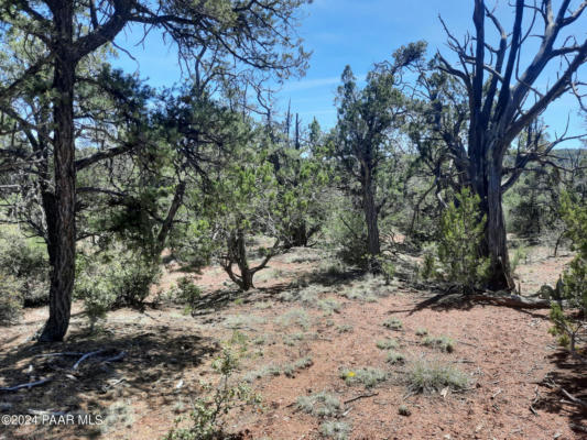 LOT 130 FOREST ACRES, SELIGMAN, AZ 86337, photo 2 of 8